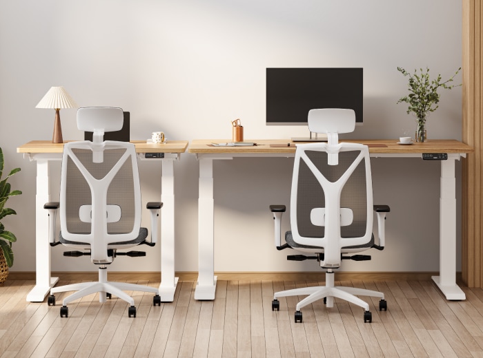 FlexiSpot E7 Mini standing desk