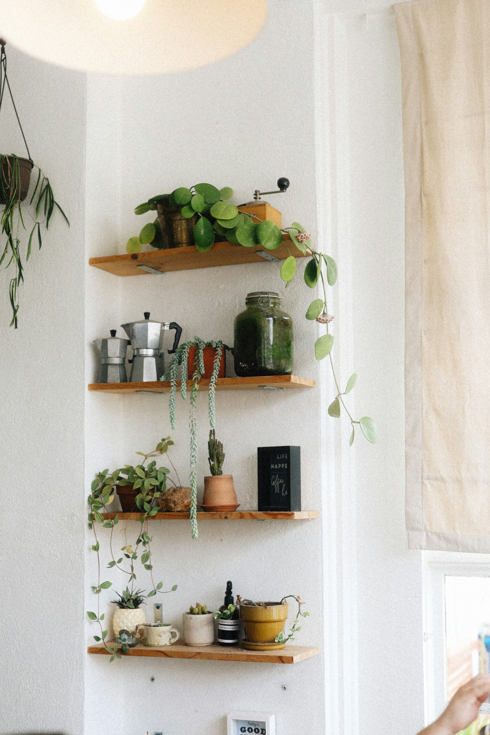 Corner shelves with plants and kitchenware — atmosphere, not a product pick